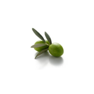 Kalamata