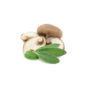 Wild Mushroom & Sage