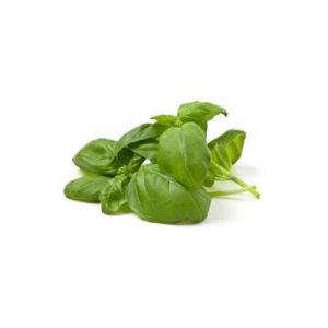 Basil