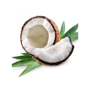 Coconut