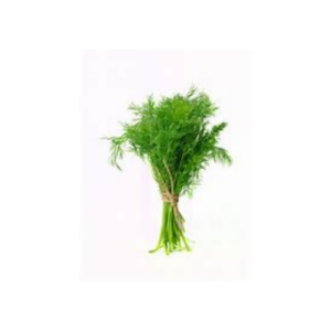 Wild Fernleaf Dill