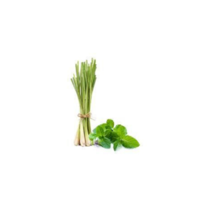 Lemongrass - Mint