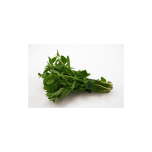 Oregano
