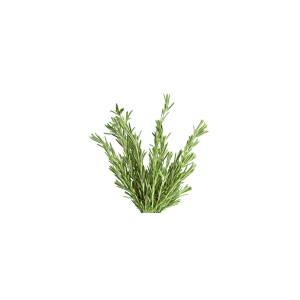 Rosemary