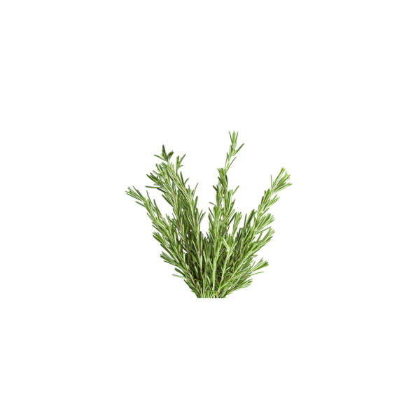 Rosemary