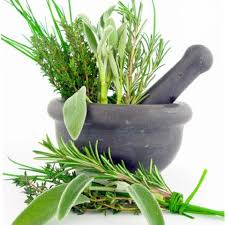 Neapolitan Herb